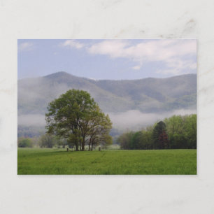 Postal Prado brumoso y Rich Mountain, Cades Cove,