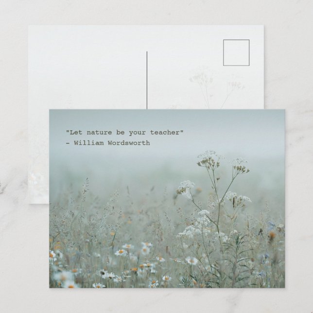 Postal Prado de flores silvestres - estética de la natura (Anverso / Reverso)