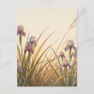 Postal Prado de Iris Púrpura con Paisaje de Hierba Dorada