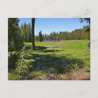 Postal Prado de Yosemite con estrellas fugaces