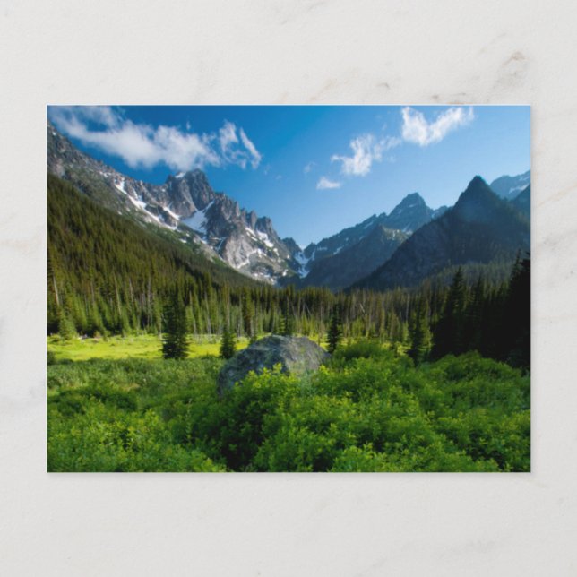 Postal Prado y Mt. Stuart (Anverso)