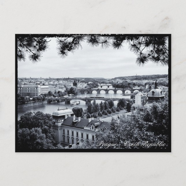 Postal Praga - Puente, río Vltava Panorama, checo (Anverso)