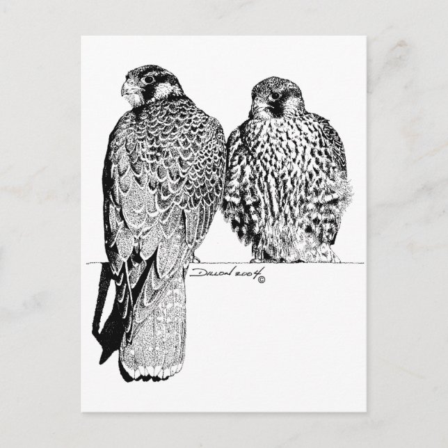Postal Prairie Falcons (Anverso)