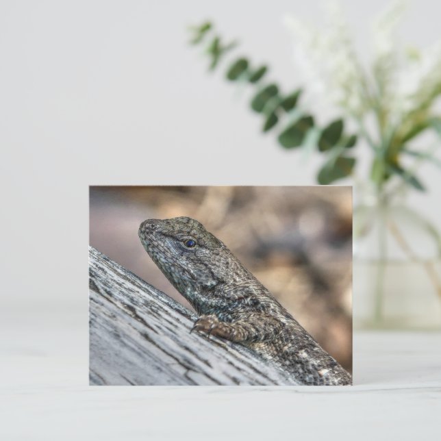Postal Prairie Lizard (Anverso de pie)