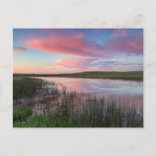 Postal Prairie Pond Refleja Brillantes Nubes De Amanecer