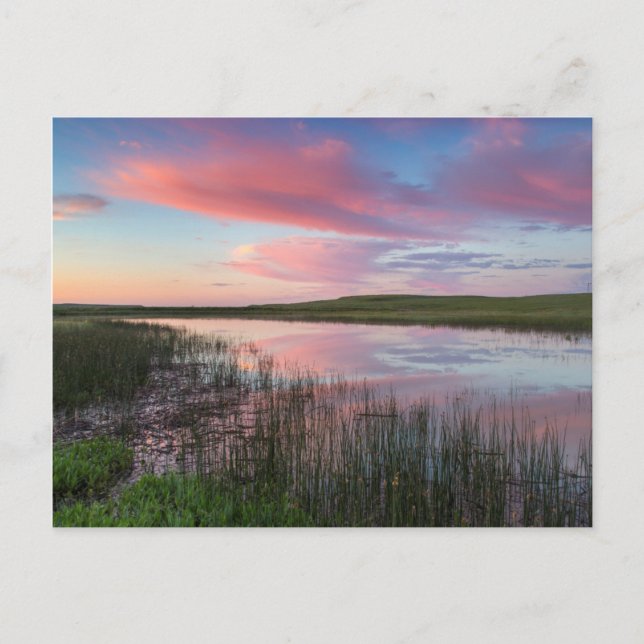 Postal Prairie Pond Refleja Brillantes Nubes De Amanecer (Anverso)