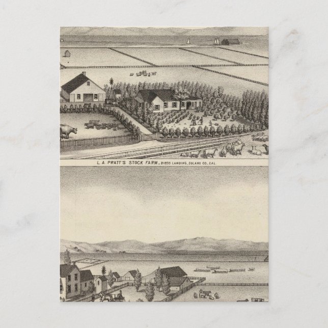 Postal Pratt, granjas Stewart (Anverso)