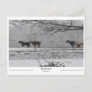 Postal Prattville Alabama