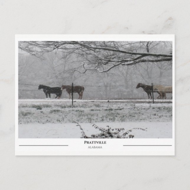 Postal Prattville Alabama (Anverso)