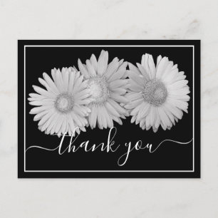 Postal Preciosas Margaritas Gerbera Botánicas Floral Colo