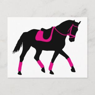 Postal Precioso caballo de vestir