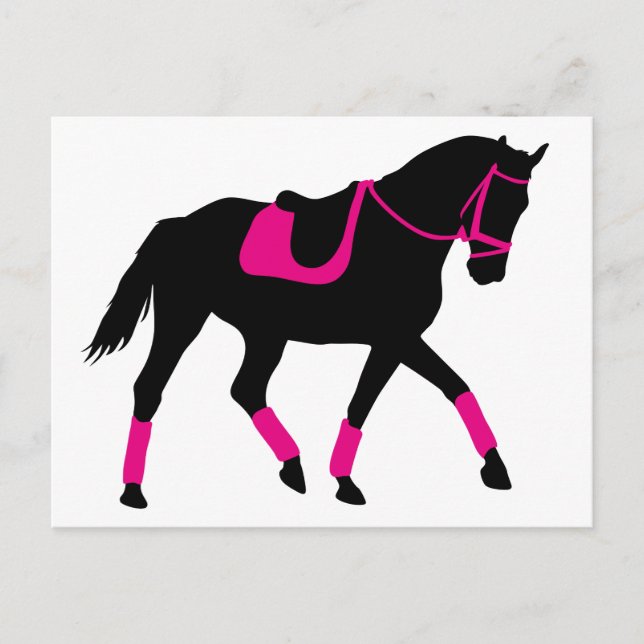 Postal Precioso caballo de vestir (Anverso)