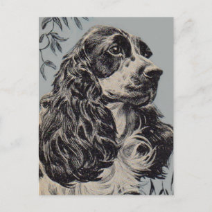 Postal precioso cocker spaniel