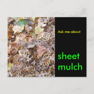Postal Pregúntame acerca de , mulch de hojas