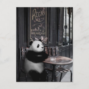 Postal Preguntarse en una cafetería