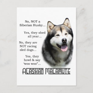 Postal Preguntas frecuentes de Alaskan Malamute