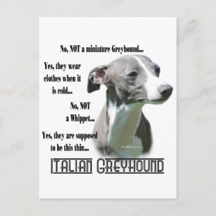 Postal Preguntas frecuentes sobre Greyhound en Italia