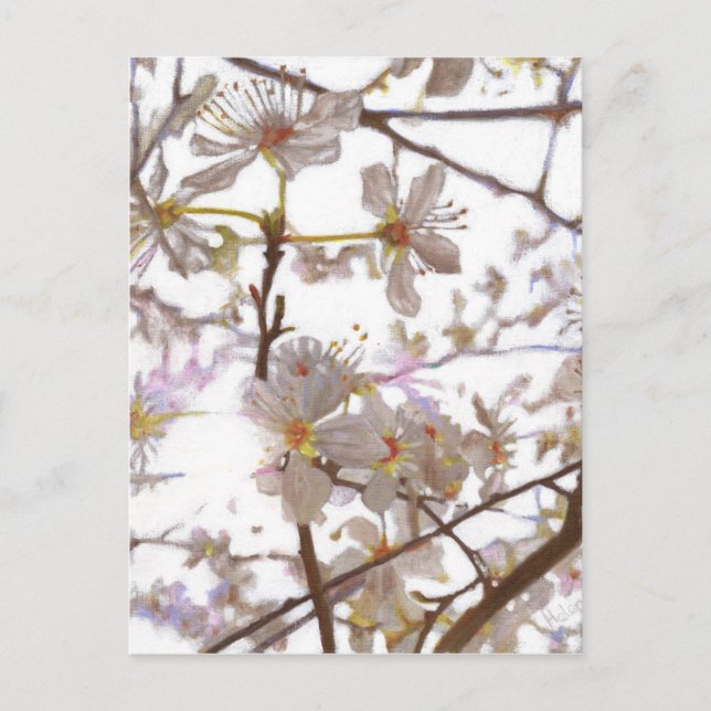 Postal Prelude 2014 (Anverso)