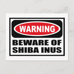 POSTAL PREOCUPACIÓN DE LA POSIBILIDAD DE SHIBA INUS
