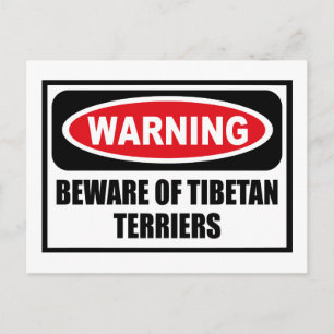 POSTAL PREOCUPACIÓN DE LA POSIBILIDAD DE TIBETAN TERRIERS
