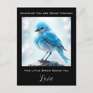 Postal *~* Preocupación por cuidado de pájaro azul detall