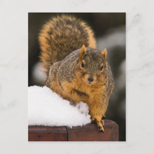 Postal Preparado para el desayuno