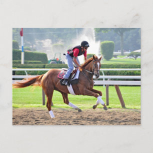 Postal Preparado para Saratoga 150