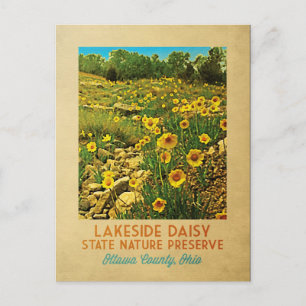 Postal Preserva de Daisy Ohio Lakeside