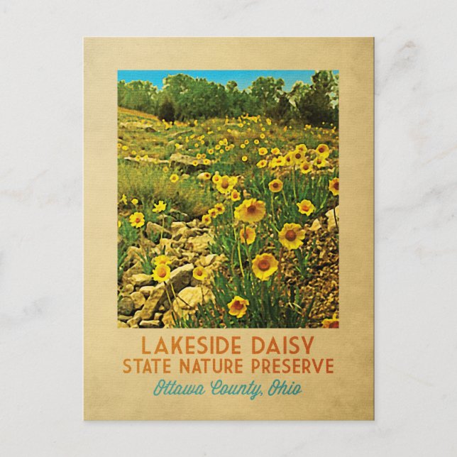 Postal Preserva de Daisy Ohio Lakeside (Anverso)