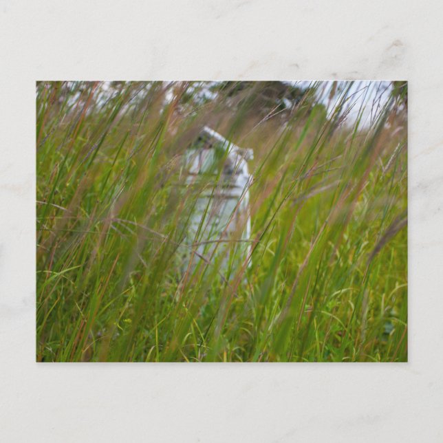 Postal Preservación natural del estado del cementerio de  (Anverso)