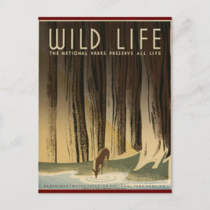 Postal Preservar la vida silvestre