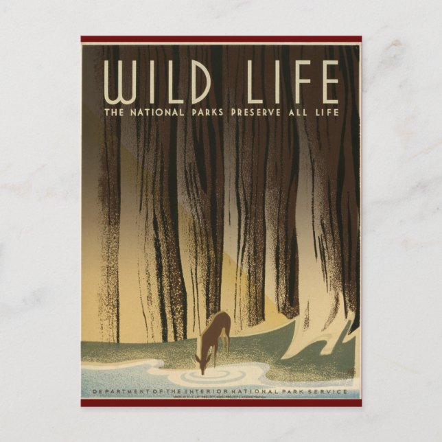 Postal Preservar la vida silvestre (Anverso)