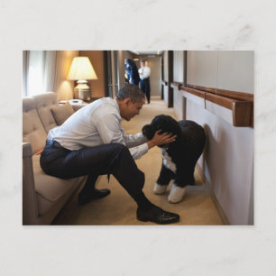 Postal Presidente Barack Obama con Bo