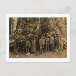 Postal Presidente Roosevelt y John Muir Beneath (Sepia)
