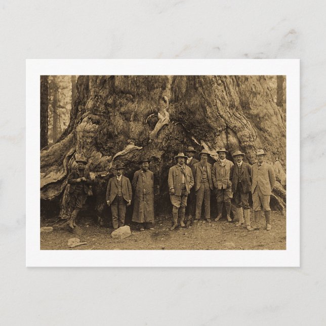 Postal Presidente Roosevelt y John Muir Beneath (Sepia) (Anverso)