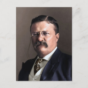 Postal Presidente Theodore Roosevelt