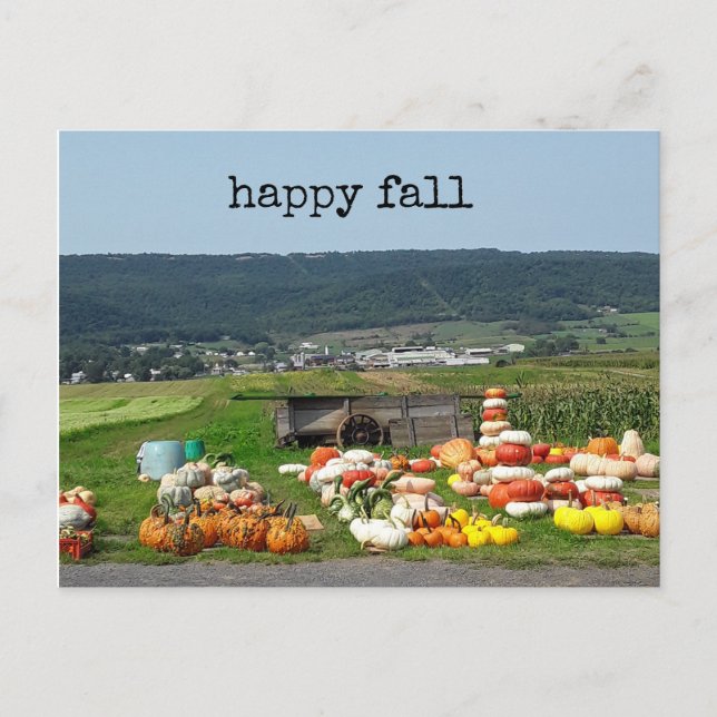 Postal pretty fall pumpkin farm post card (Anverso)