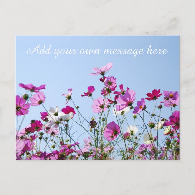 Postal Pretty Pink Meadow Custom Message (Anverso)