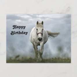 Postal Pretty White Horse Cloud Photo Birthday