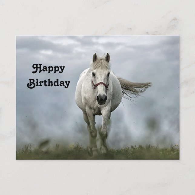 Postal Pretty White Horse Cloud Photo Birthday (Anverso)