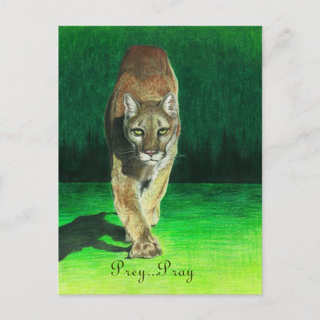 Postal Prey... Pray Cougar Big Cat Postcard (Anverso)