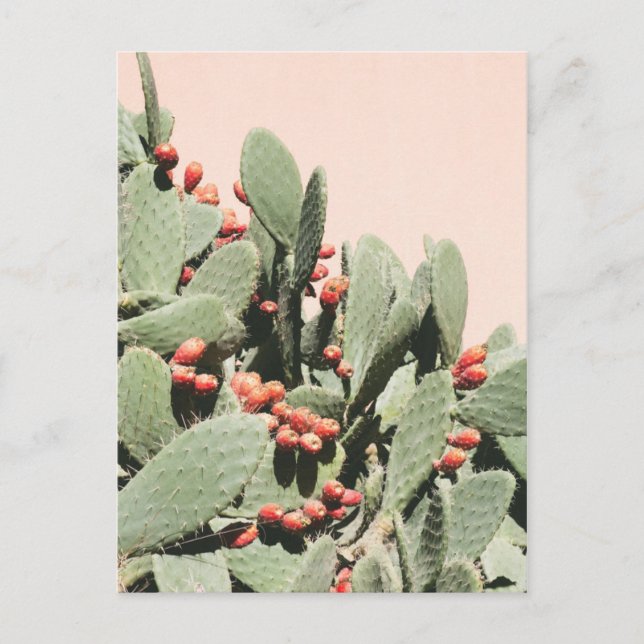 Postal Prickley Pear Cactus (Anverso)