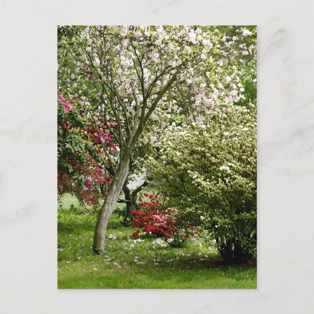 Postal Primavera (Anverso)