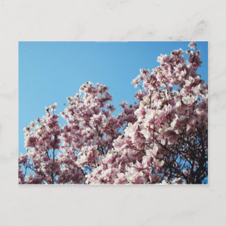 Postal primavera