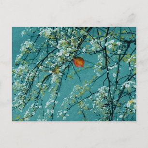 Postal Primavera