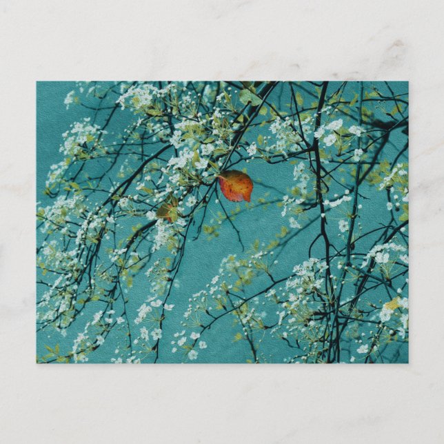 Postal Primavera (Anverso)