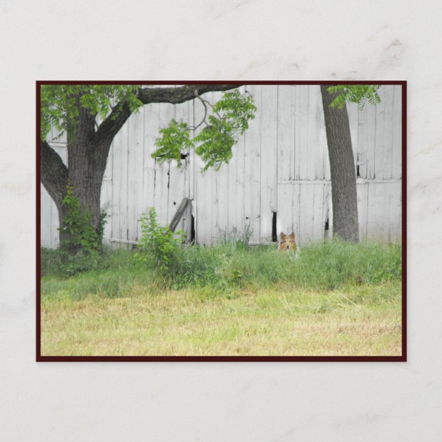 Postal ~ Primavera 36 ~ (Anverso)