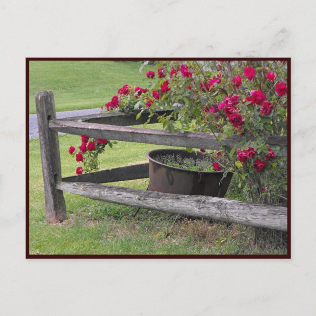 Postal ~ Primavera 41 ~ (Anverso)