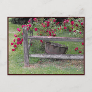 Postal ~ Primavera 42 ~