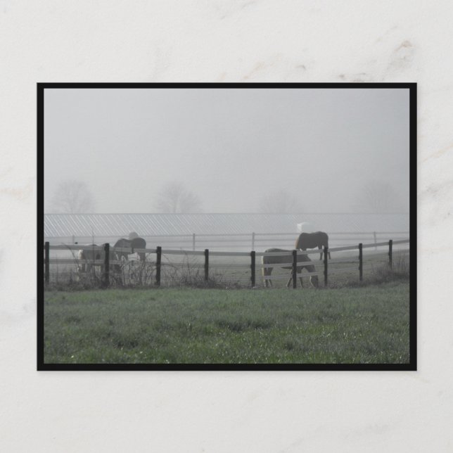 Postal ~ Primavera 79 ~ (Anverso)